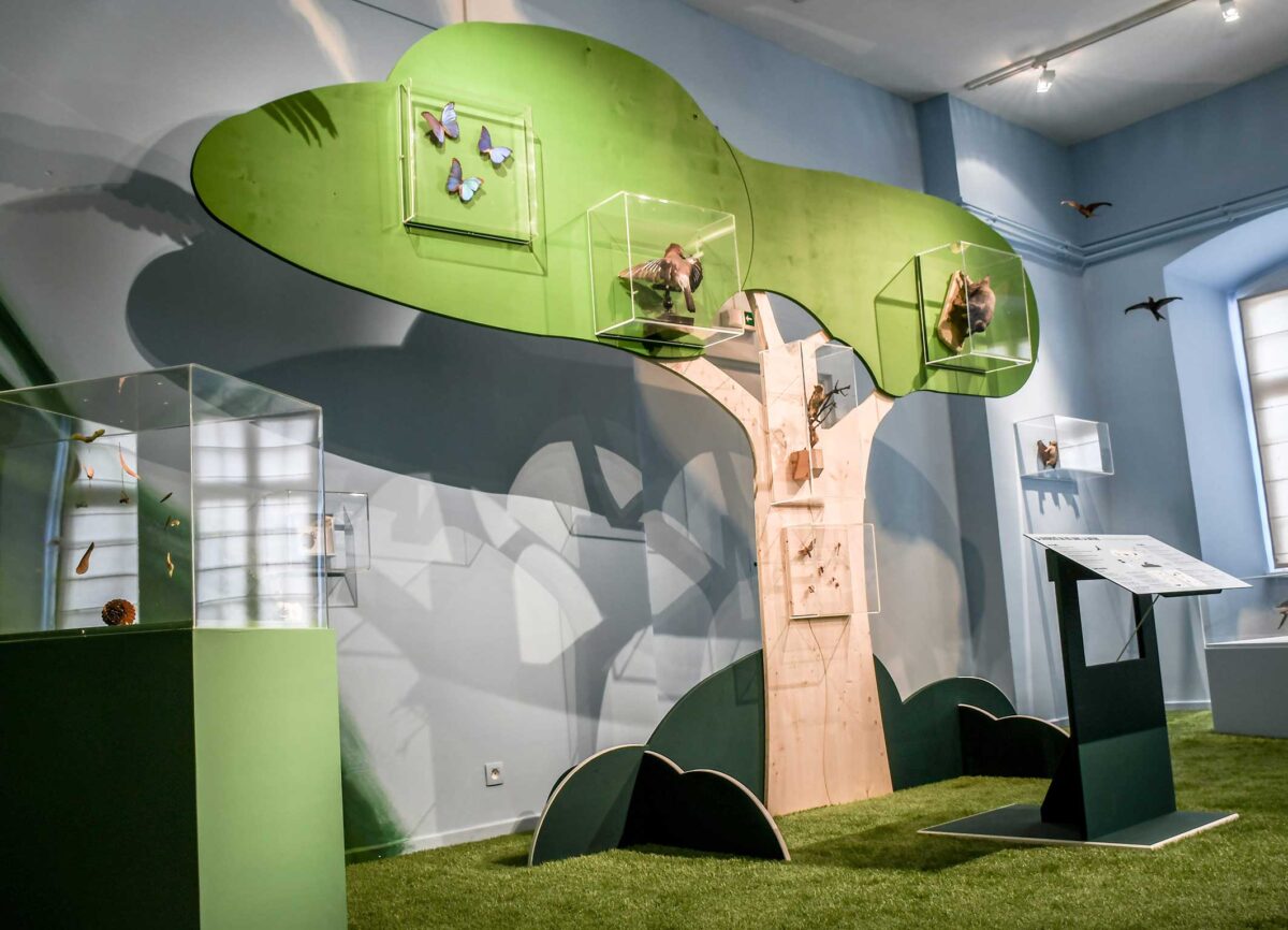 Dorine Maillot - Exposition OVNI