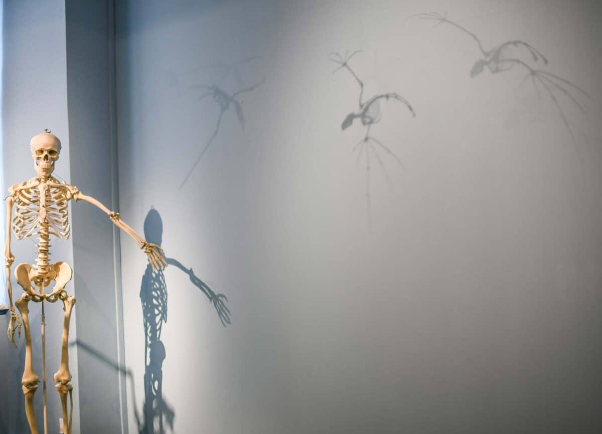 Dorine Maillot - Exposition OVNI
