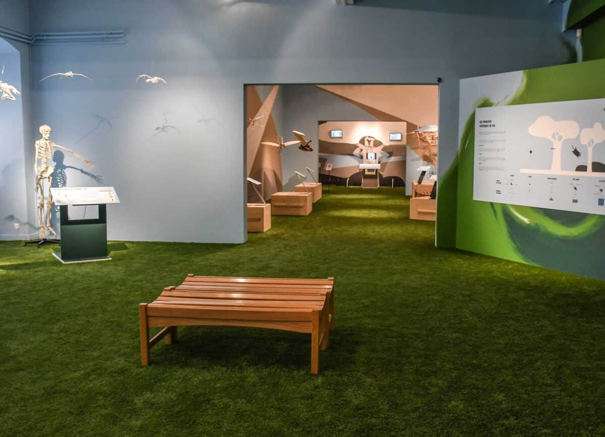 Dorine Maillot - Exposition OVNI