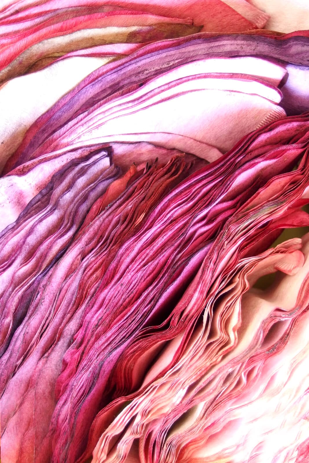 Galeries Nomades - Exposition CCSV - Clémentine Martinez