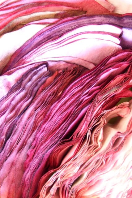 Galeries Nomades - Exposition CCSV - Clémentine Martinez